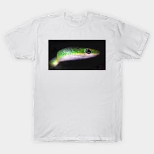 serpent's smile T-Shirt